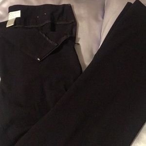 Dark Grape Slacks